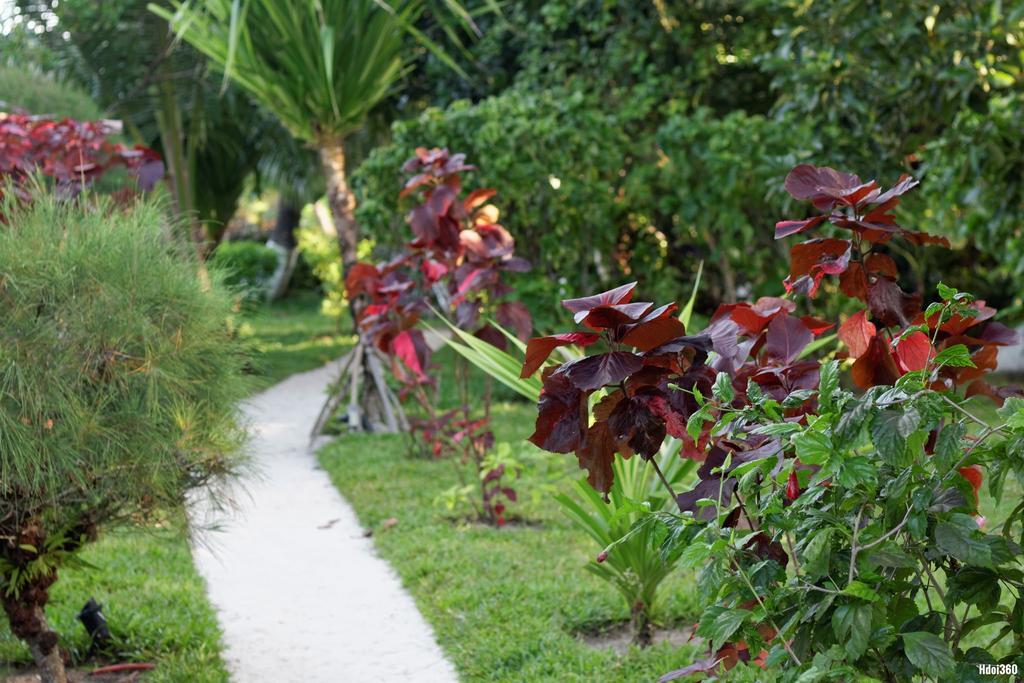 Analatsara Eco Lodge Ile aux Nattes Bagian luar foto