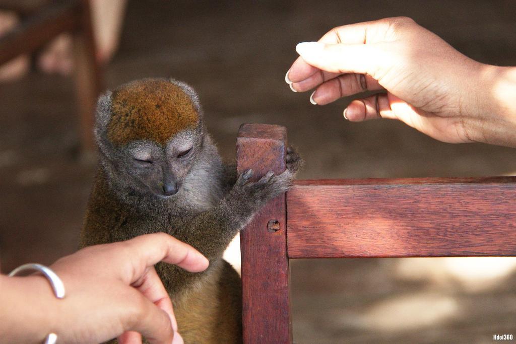Analatsara Eco Lodge Ile aux Nattes Bagian luar foto